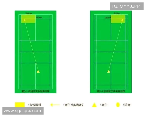 羽毛球盛宴：深入解析深圳羽毛球队的战术布局与训练秘诀
