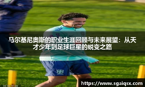 万博max平台